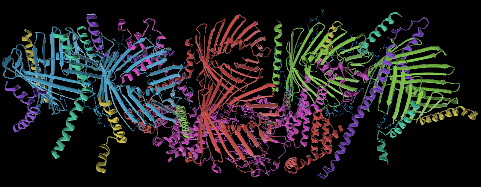 Protein colored by residue, using SIFTS data from Uniprot